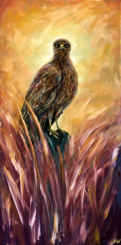 FOCUS | Original Artwork
