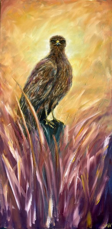 FOCUS | Original Artwork