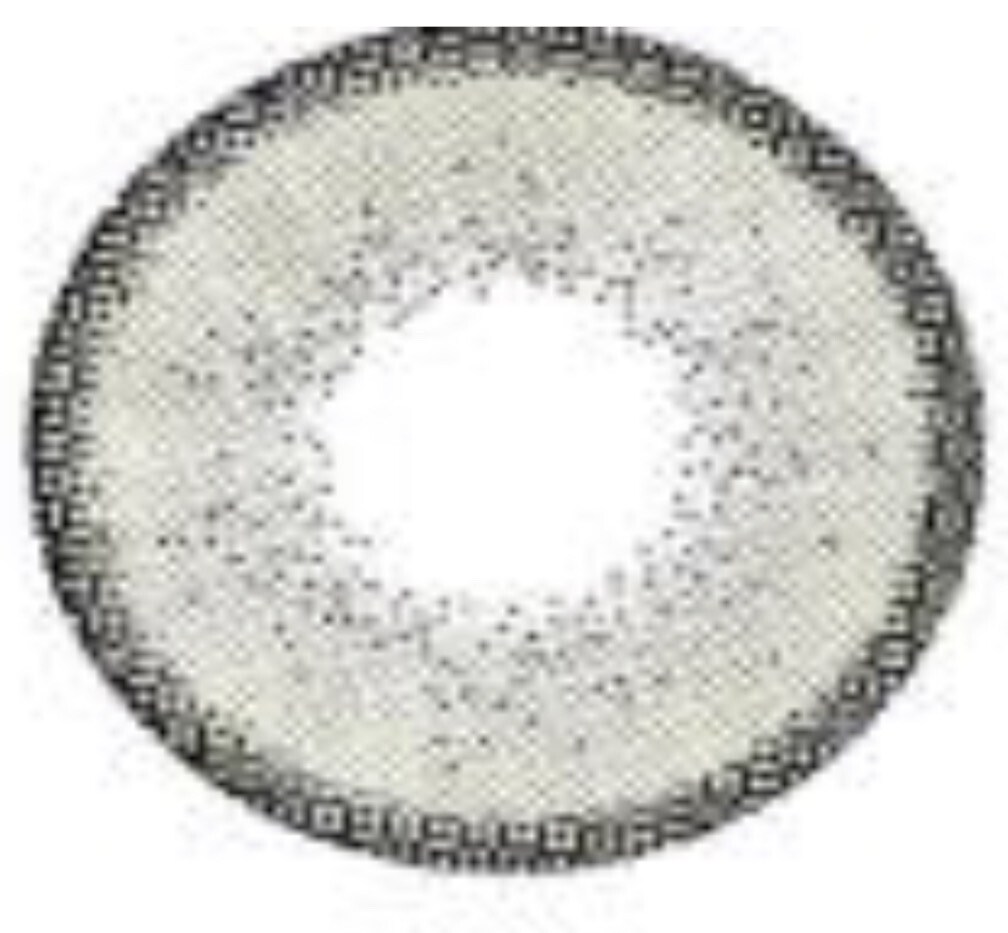 Cinnamon Lenses