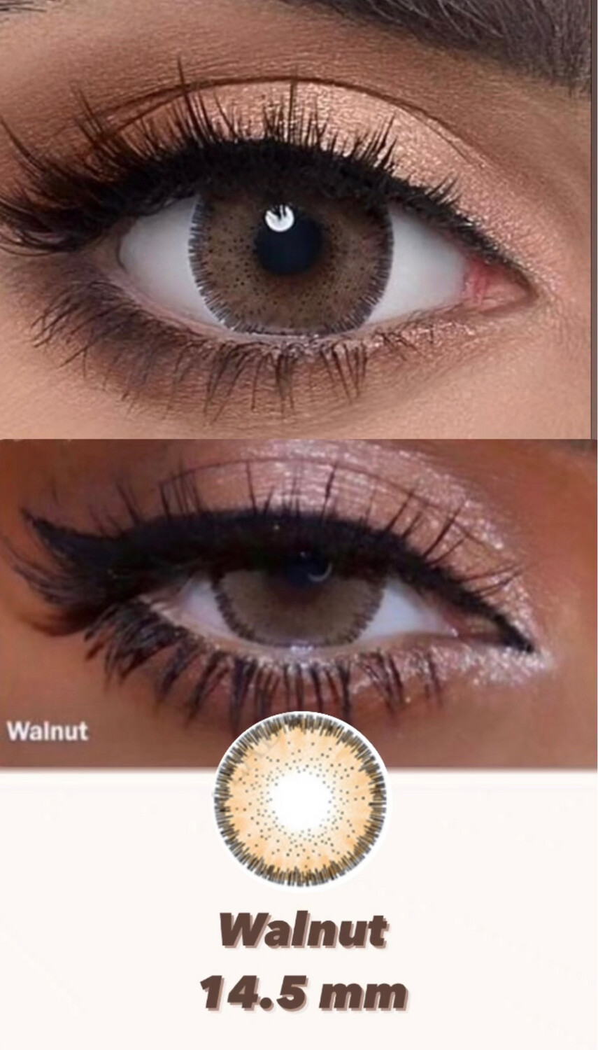 All Lenses