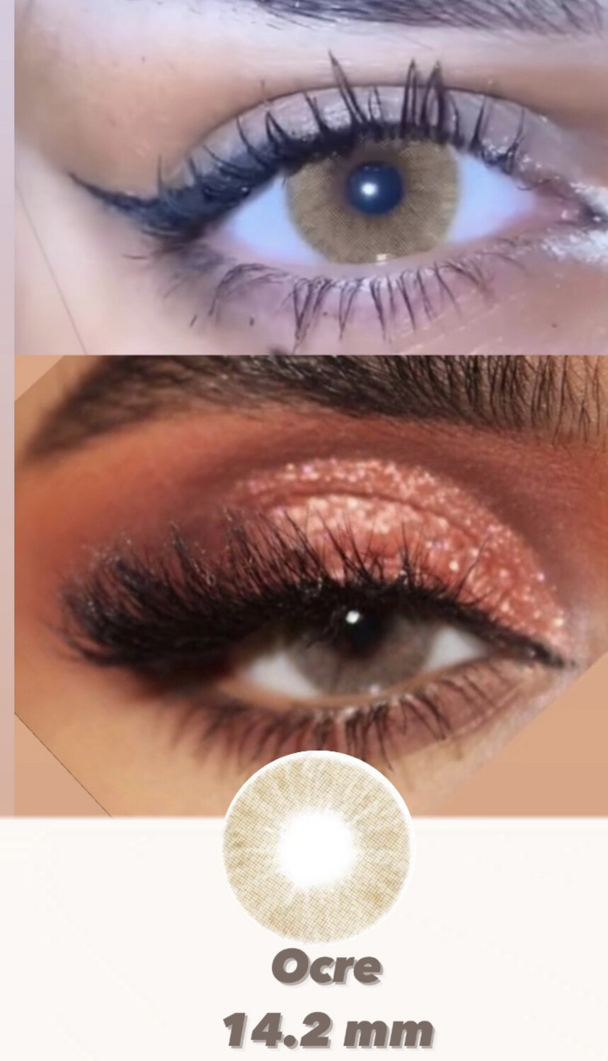All Lenses
