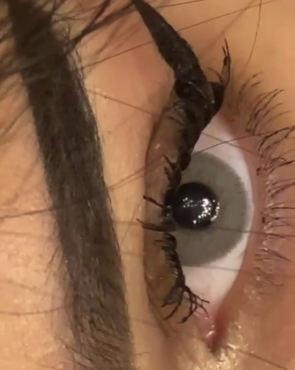 Smokey Grey Lenses