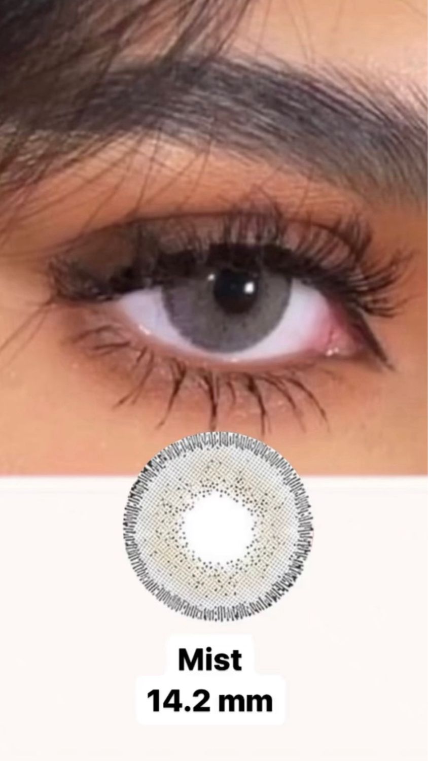 All Lenses