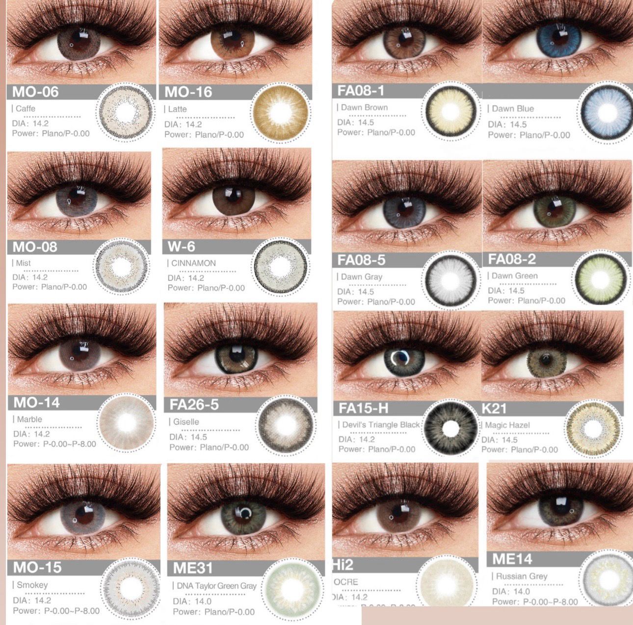 All Lenses