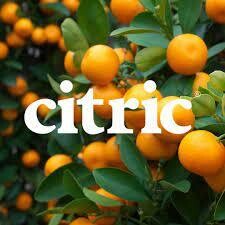JUGO EXPRIMIDO DE NARANJA CITRIC X 5 LITROS