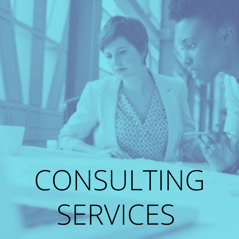 Consulting Services