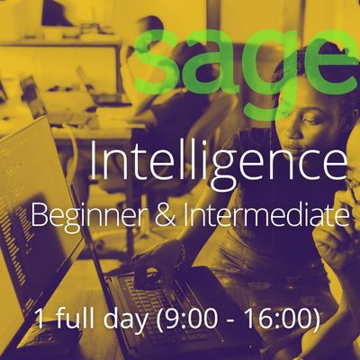 Sage Intelligence Beginner &amp; Intermediate