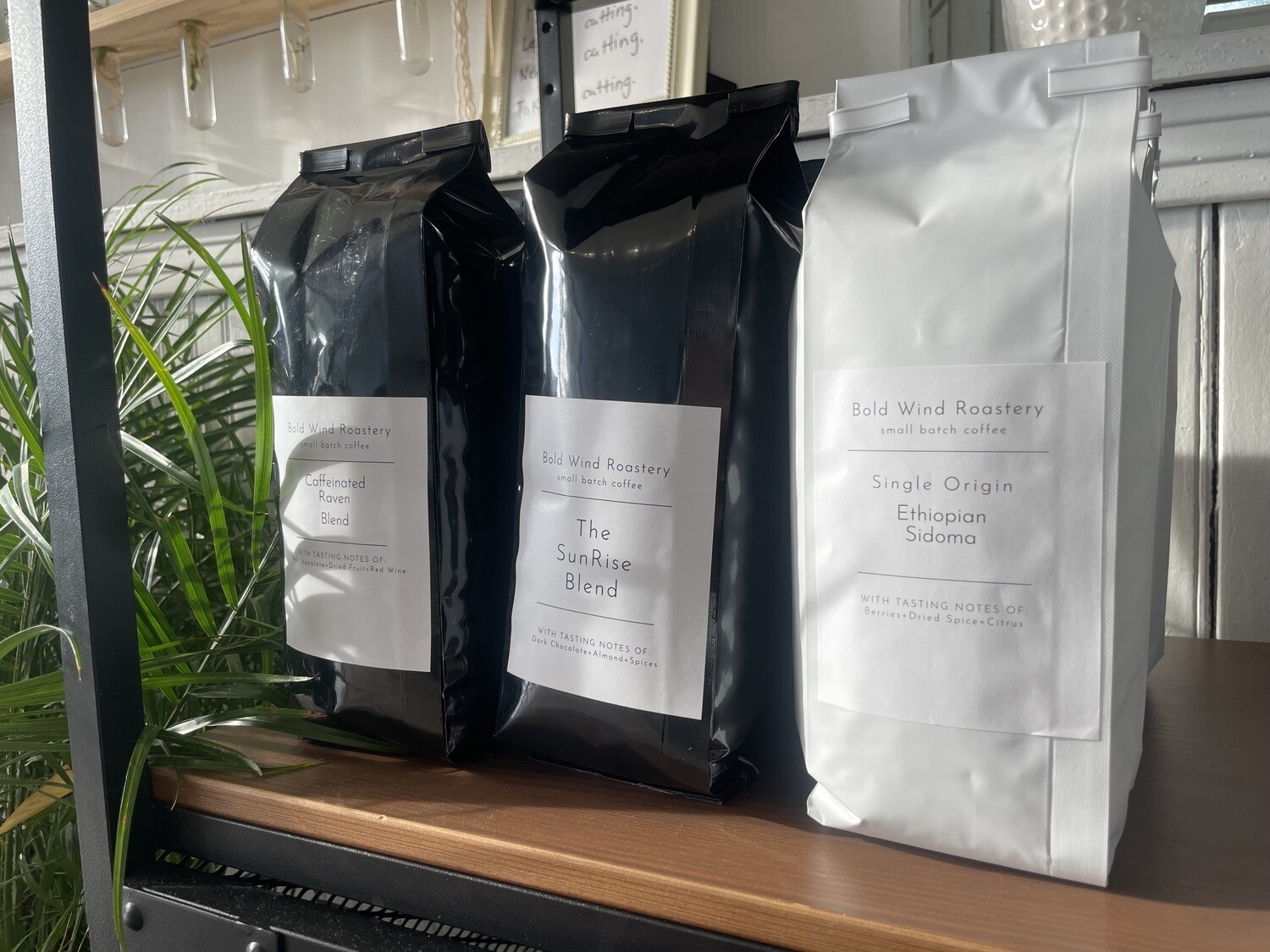 Whole Bean Coffee 12OZ