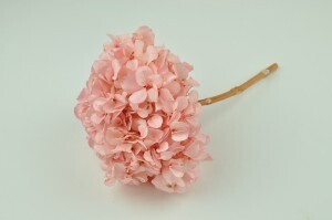 Hortensia light pink