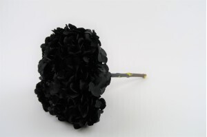 Hortensia noir