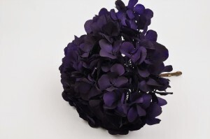 Hortensia sweet violet