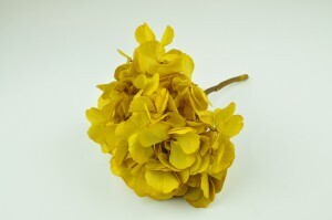 Hortensia jaune