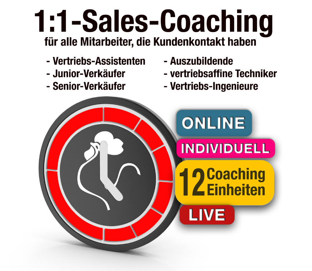 1:1-Online-Sales-Coaching: Akquirieren und kommunizieren