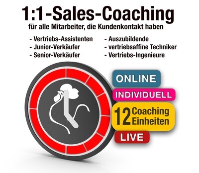 1:1-Online-Sales-Coaching: 12 Coaching-Einheiten à € 99