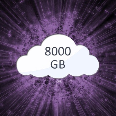 8000GB Cloud