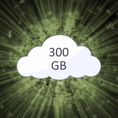 300GB Cloud