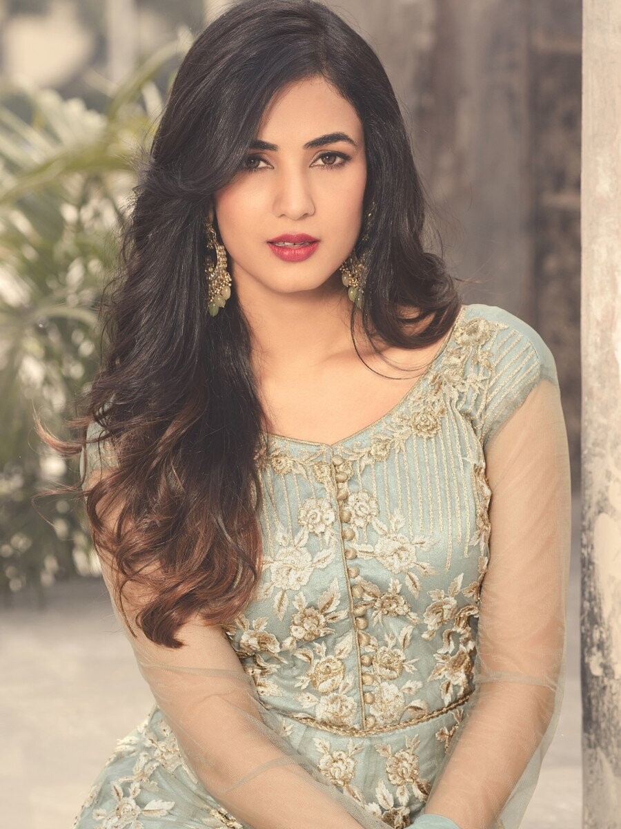 Sonal Chauhan Green Long Gown With Heavy Work