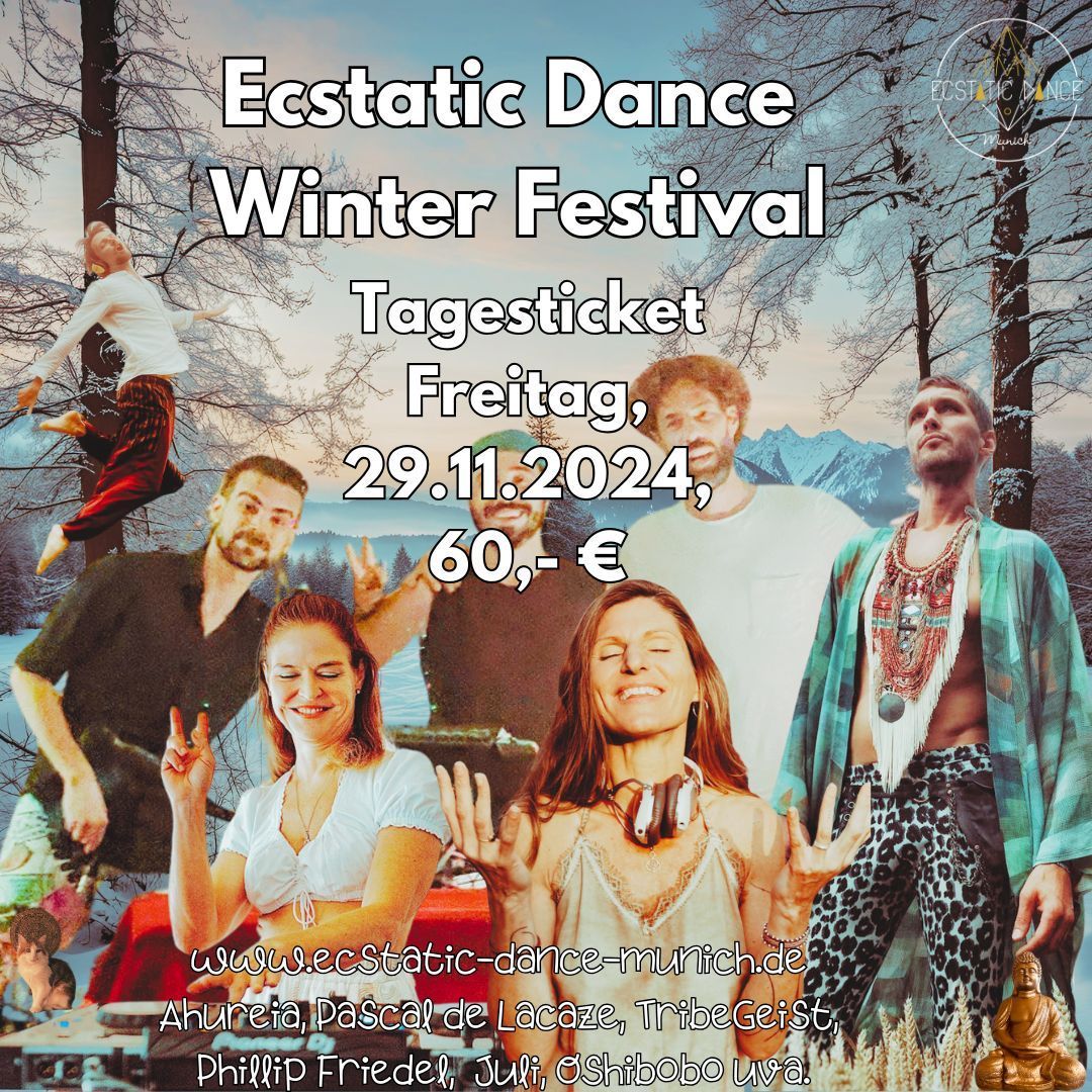 Tagesticket  ED Winterfestival Freitag, 29.11.24