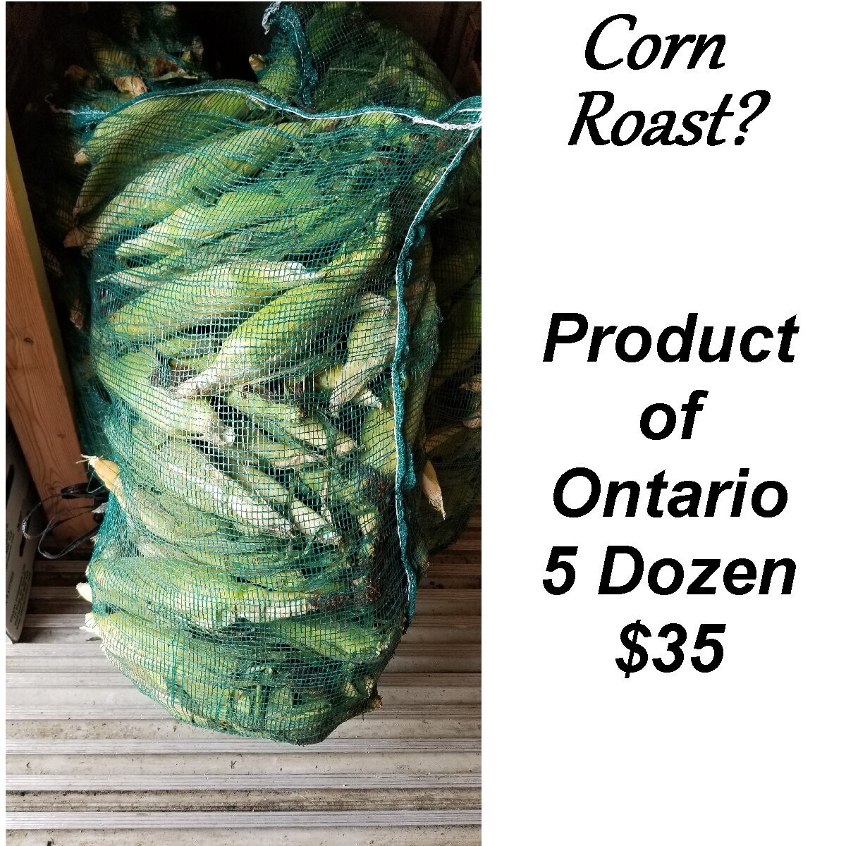1 bag of Fresh Ontario Corn (60 Corn)