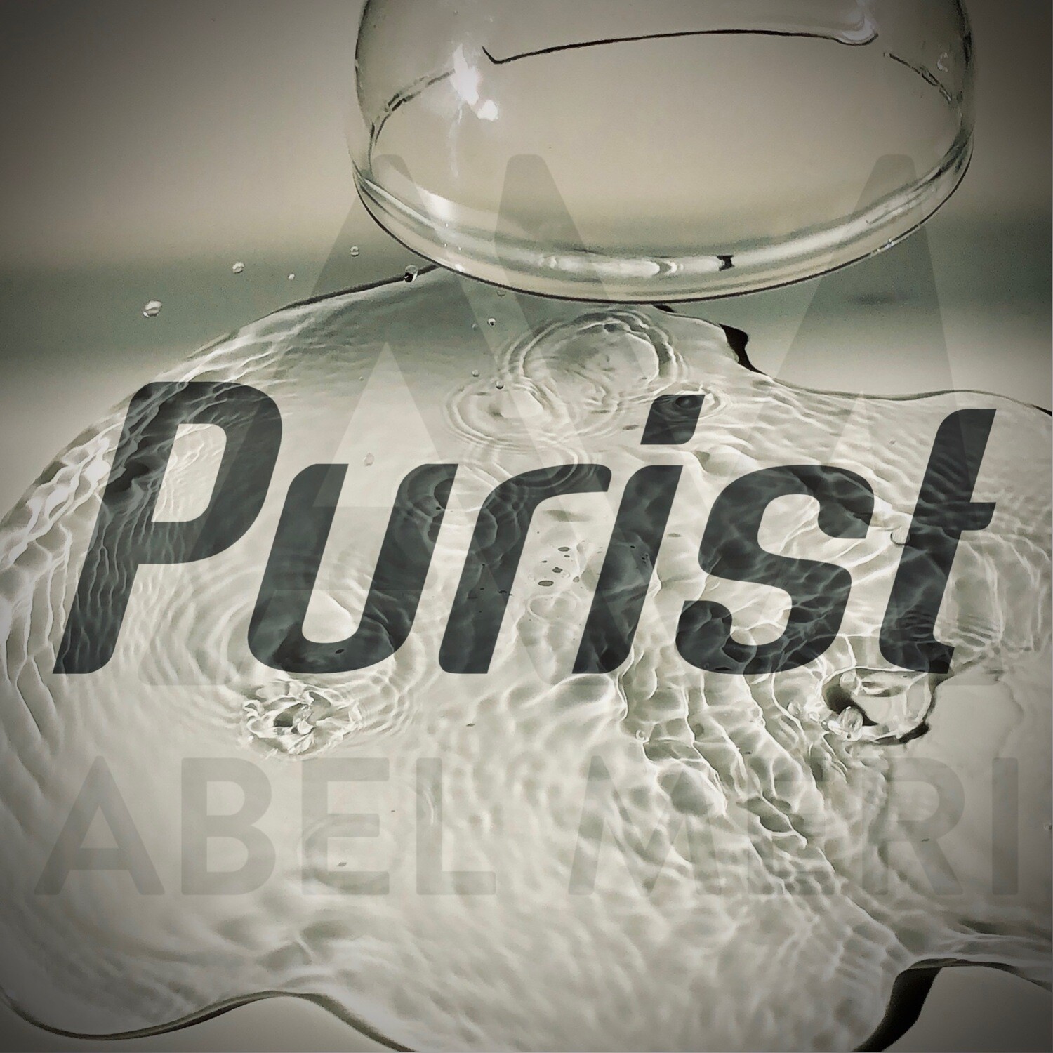 Purist (Album)