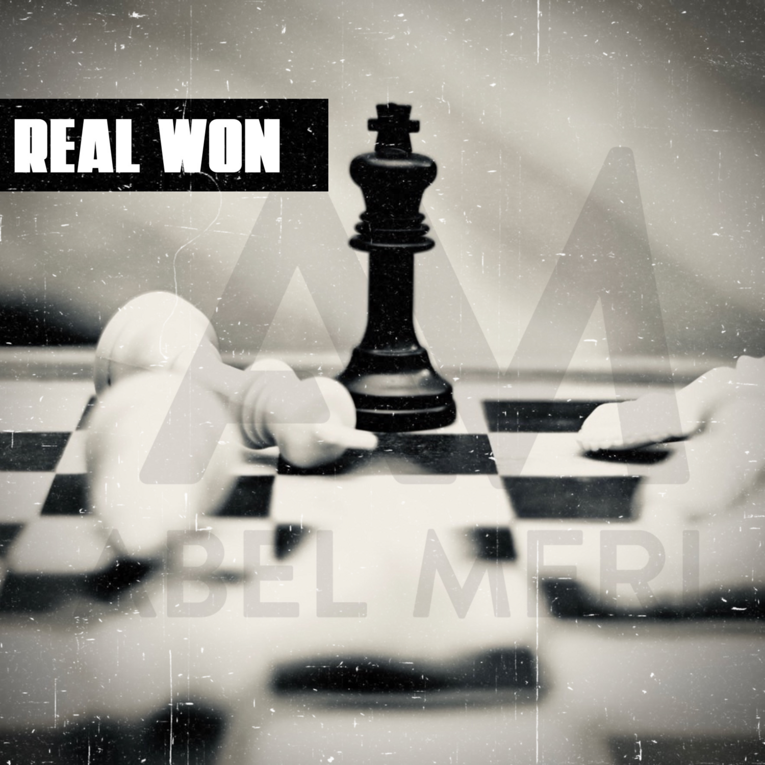 Real Won - Album (Digital Download)