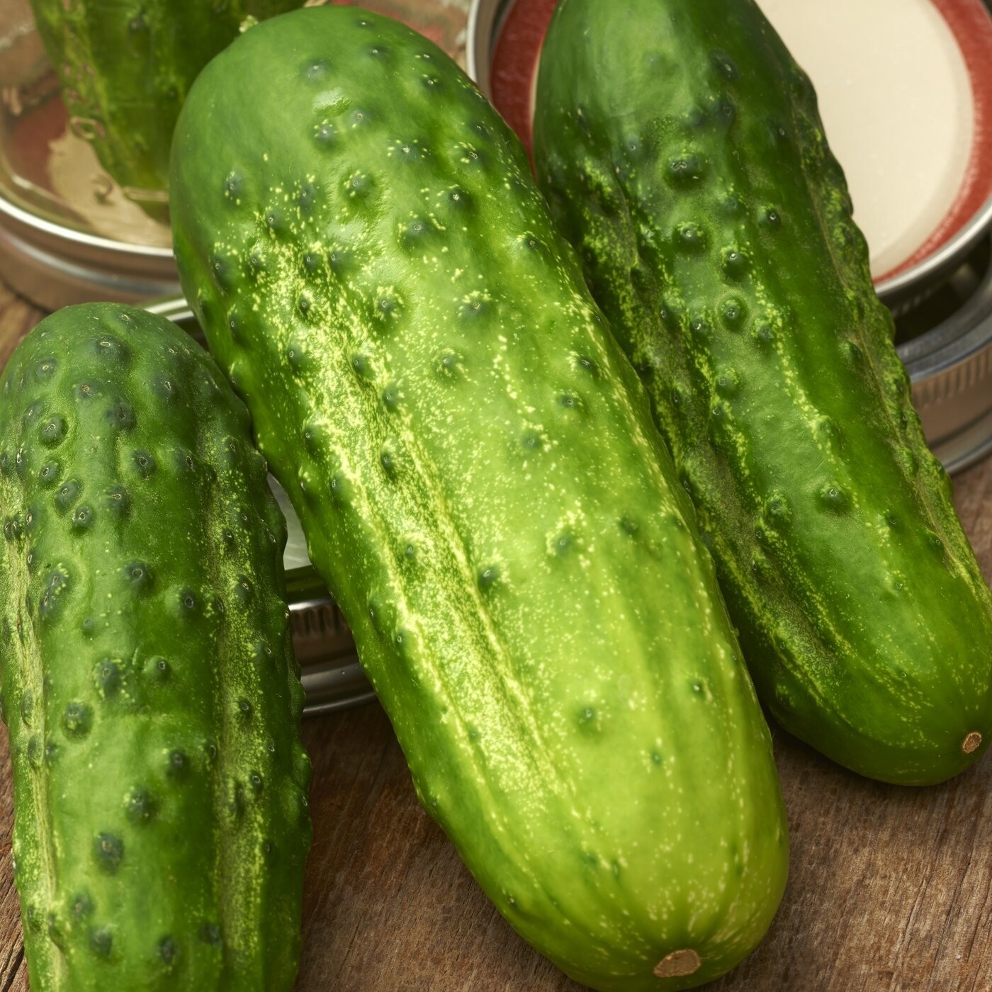 Heirloom Boston Pickling Cucumber Seeds