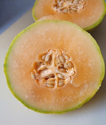 Minnesota Mini Melon Cantaloupe Seeds