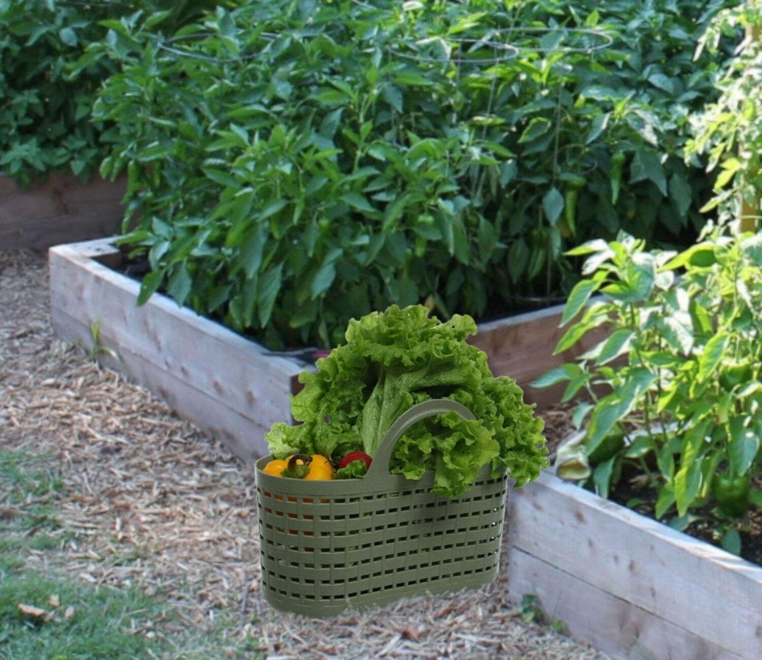 Garden Harvest Baskets