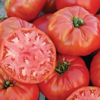 Mortgage Lifter Tomato Seeds