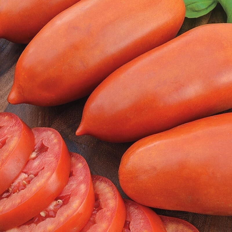 San Marzano Tomato Seeds