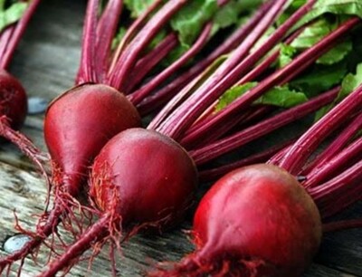Red Ace Beet Seeds