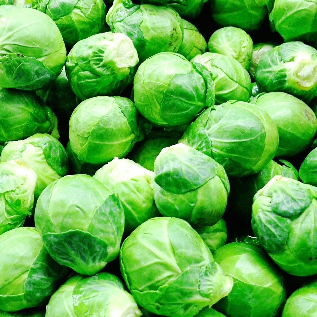 Long Island Improved Brussel Sprout Seeds