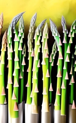 Tips for Growing Asparagus 