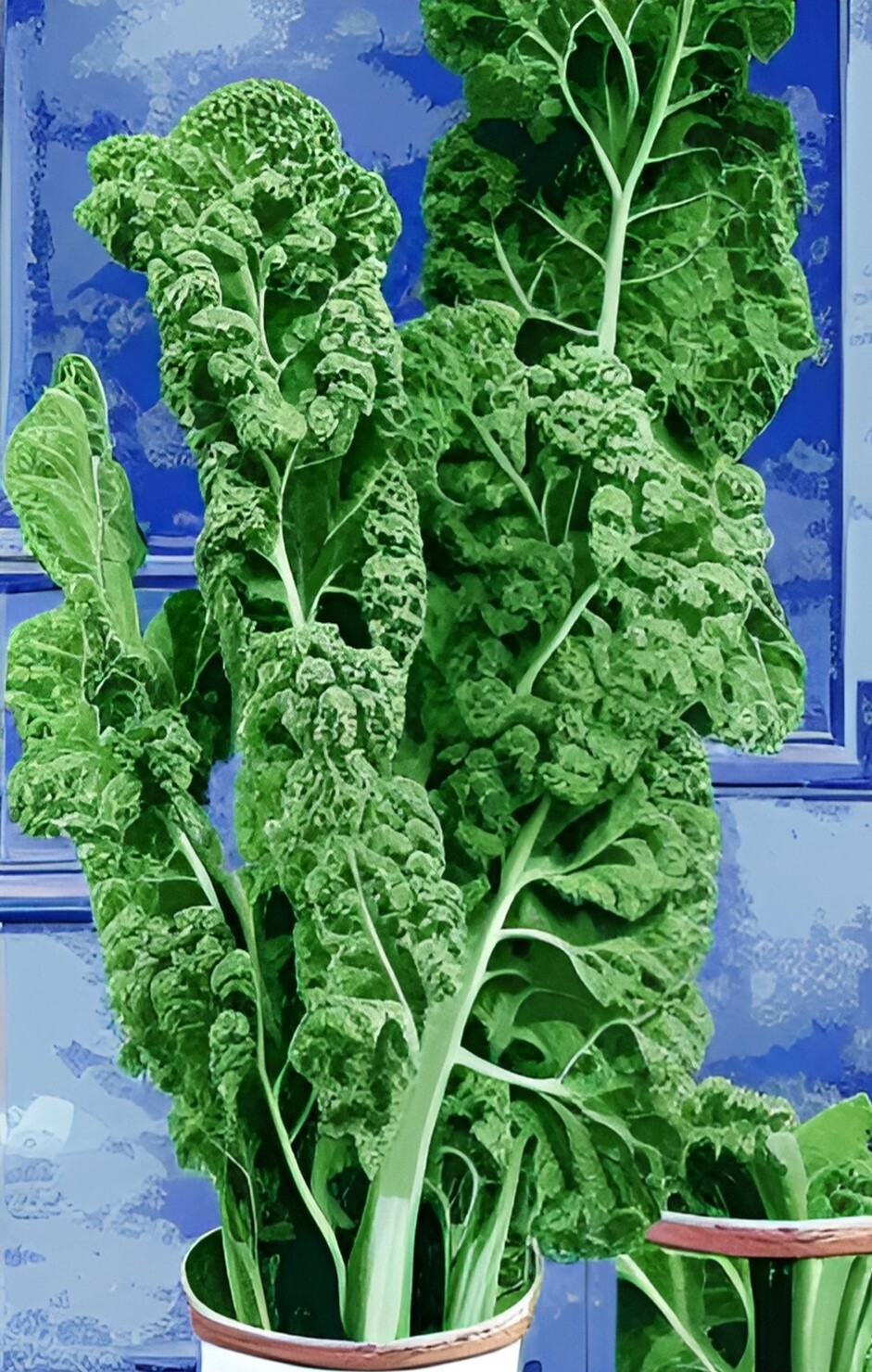 Tips for Growing Kale