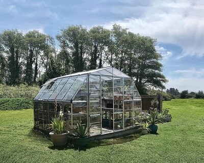 12x12 Metal Frame Greenhouse