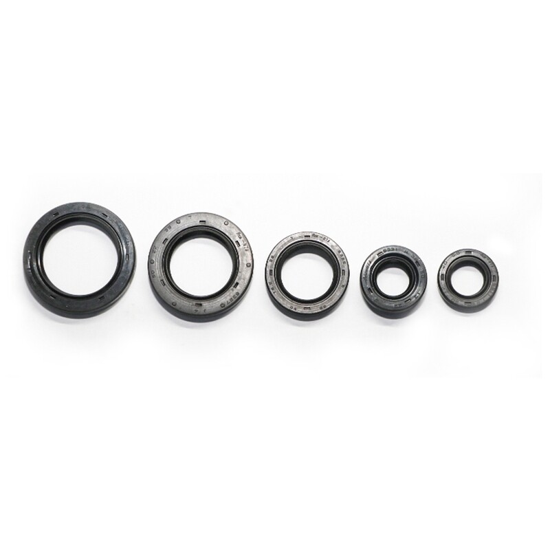 ENGINE OIL SEAL KIT - DISCOVER 135
