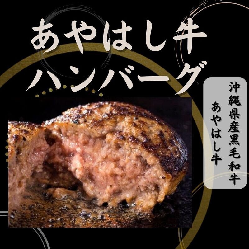 あやはし牛ハンバーグセット