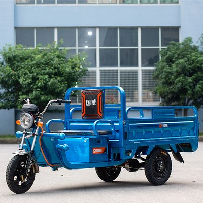 Electric Tricycle Cargo Van,Electric Tricycle,Home Delivery Vehicle,Agricultural Tricycle,Elderly Vehicle,Warehouse Van,1000W Differential Motor,60V~45Alarge capacity battery,500KG Loader Hopper