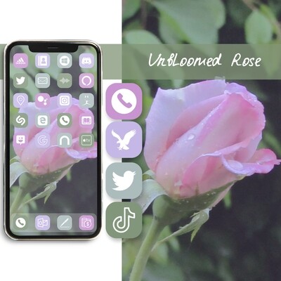 Unbloomed Rose app icons ios 15 icons aesthetic