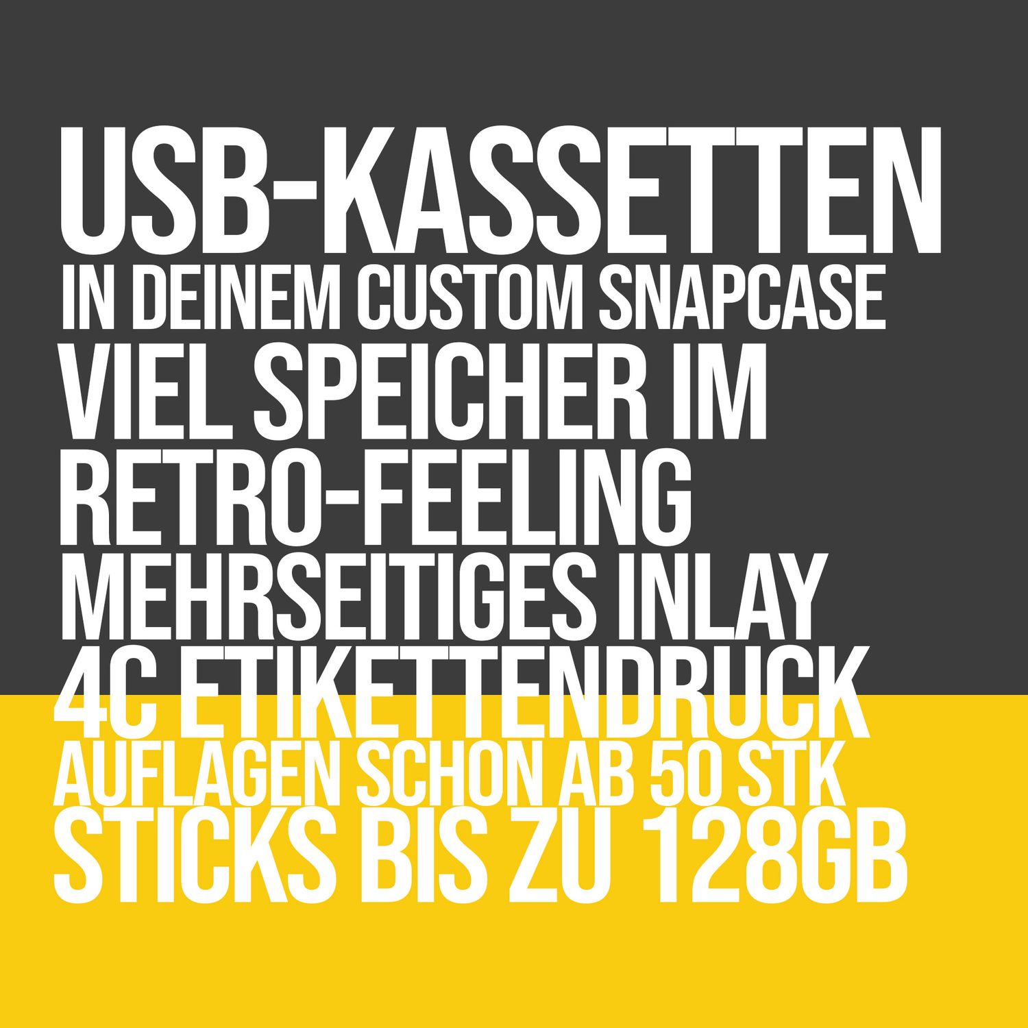 USB-Tape in MC Snapcase USB-Tape in MC Snapcase