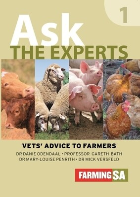Ask the Experts 1