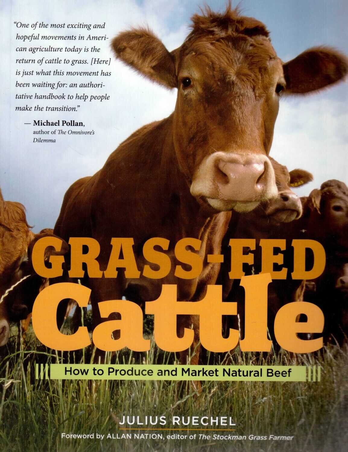 Grass-fed Cattle