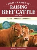 Raising Beef Cattle