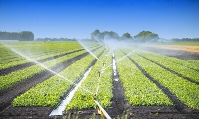 Irrigation - Online course