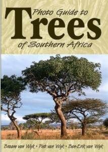 Trees of SA