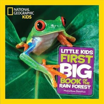 First Big Book on the Rain Forest