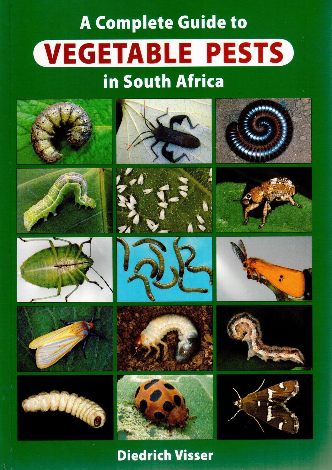 A Complete Guide to Vegetable Pests in SA