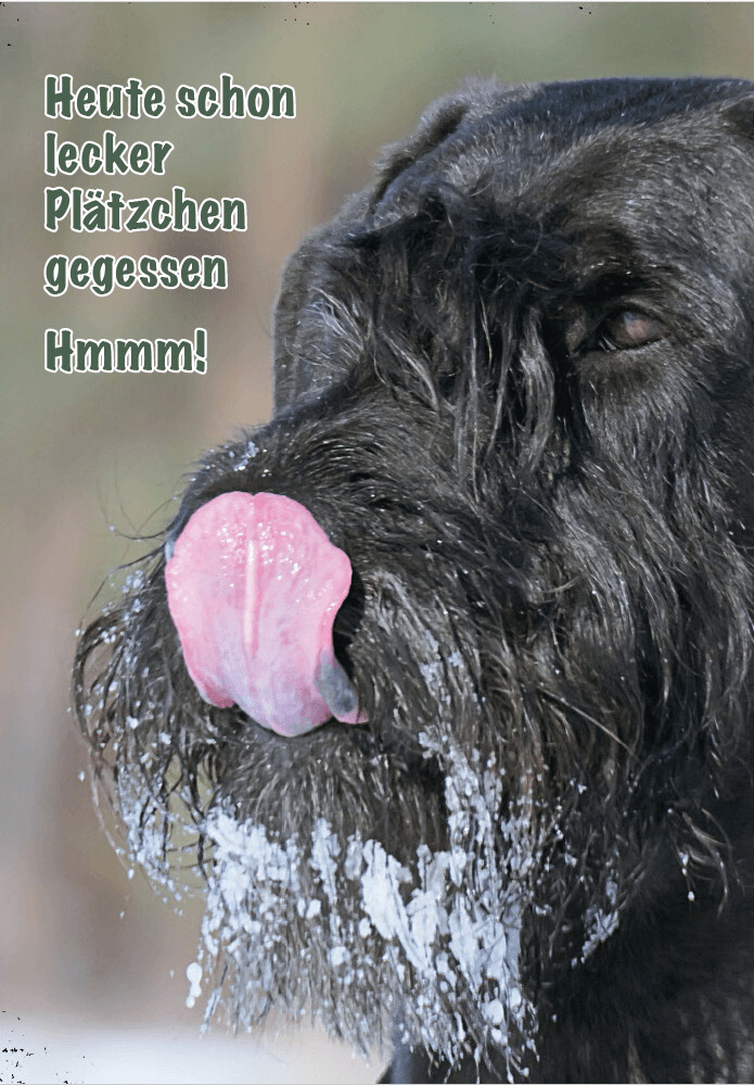Winterkarte Motiv 1 mit Kuvert