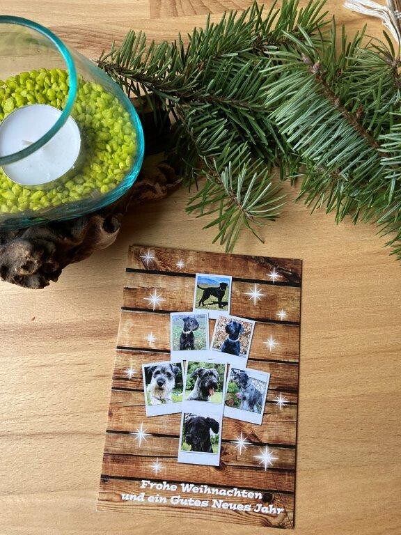 Weihnachtskarte Motiv 8 mit Kuvert Weihnachtskarte Motiv 8 mit Kuvert