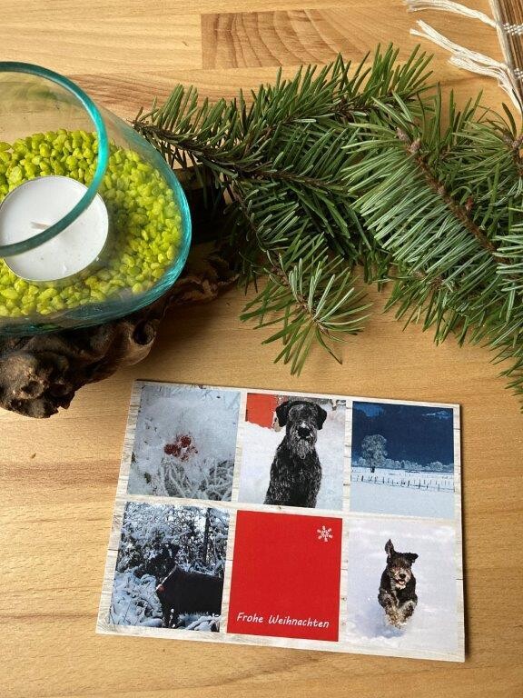 Weihnachtskarte Motiv 6 mit Kuvert Weihnachtskarte Motiv 6 mit Kuvert
